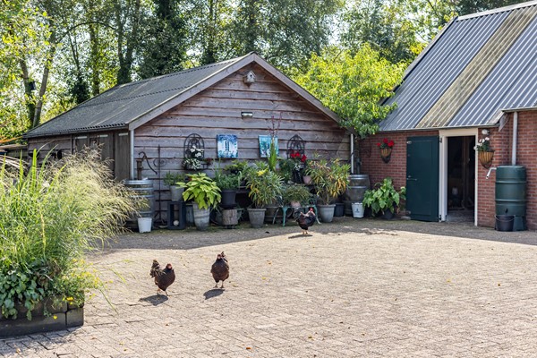 Medium property photo - Halbe Wiersemaweg 6, 9365 TB Niebert